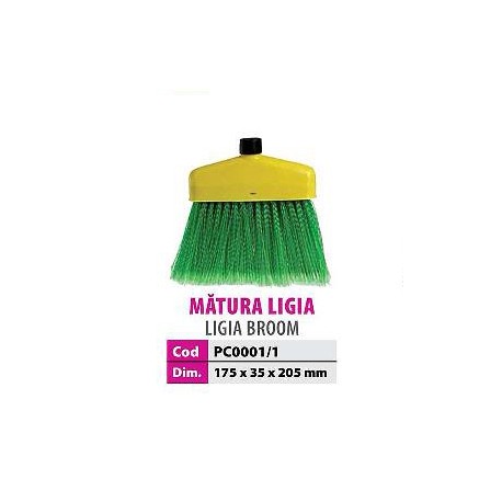 Matura ligia copy