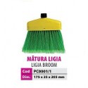 Matura ligia
