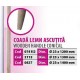Coada lemn ascutita copy