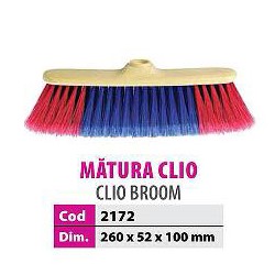 Matura clio copy