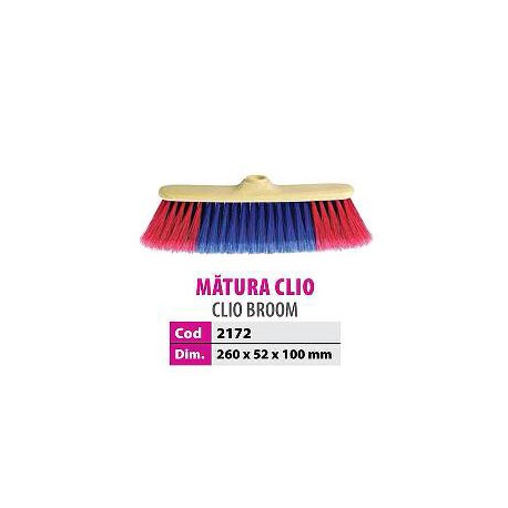 Matura clio copy