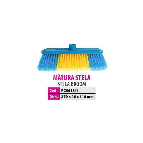Matura stela copy