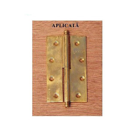 KALE Aplicata