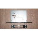 Broasca Ingropata 353P 189AM
