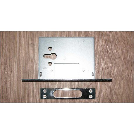 Broasca Ingropata 353P 189AM