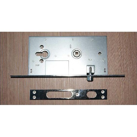 Broasca Ingropata 354M 252R